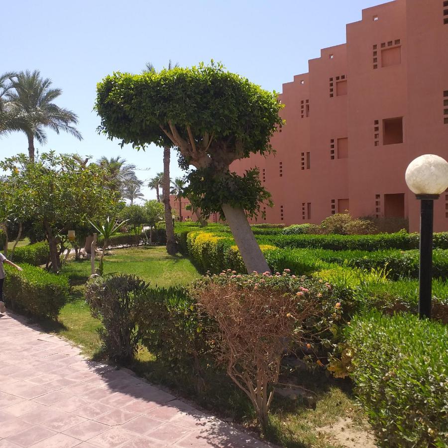 شاليه فرش فندقي بقرية بالميرا بيتش العين السخنه للعائلات Ain Sukhna Buitenkant foto